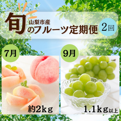 
            ＜発送月固定定期便＞山梨夏の味覚定期便〈桃 約2kg/シャインマスカット 1.1kg以上〉全2回_フルーツ 果物 人気 旬 詰め合わせ セット 贈答 ギフト プレゼント＜2025年先行予約＞【4050317】
          