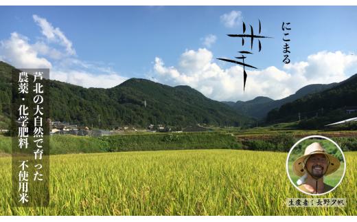 B377-49米手(こめて)　にこまる玄米１０kg　【農薬・化学肥料不使用米】【令和７年産】