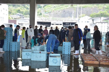 チダイ切り身 骨取 冷凍 鯛 タイ 10切×2パック 白身魚 鮮魚 焼き魚 天ぷら 煮物 北風鮮魚 愛媛県 伊予市 | B403