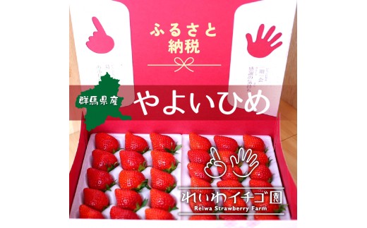 【2026年 先行予約】〈1回発送〉やよいひめ いちご 800g｜ 朝採れ やよいひめ たっぷり 贈答用 新鮮 特大 完熟 いちご 旬 苺 ストロベリー 高級 産地直送 果汁 甘い あまい 人気 高評価 減農薬 有機肥料 生産 生産量 産地 王国 高糖度 エコファーマー ごほうび プレゼント 群馬県 前橋市