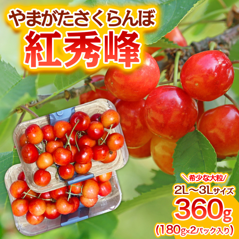やまがた さくらんぼ 紅秀峰 "希少な大粒" 2L～3Lサイズ 360g(180g×2パック入り) 1箱【令和8年産先行予約】FS25-574