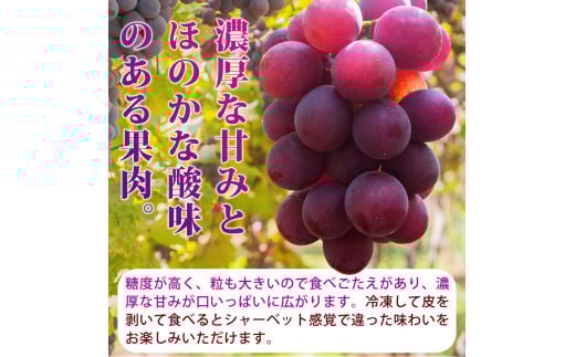 【全4回】紀州和歌山産旬のフルーツ定期便 (スイカ・桃・巨峰・梨) / すいか スイカ もも 桃 白桃 巨峰 葡萄 ぶどう なし 梨 ナシ 洋ナシ 和梨 果物 くだもの フルーツ フルーツ定期便 和歌