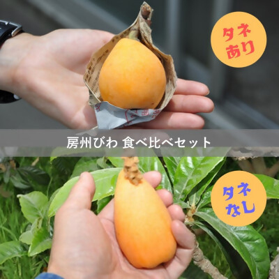 
                  【先行予約】4月下旬頃より順次発送　房州びわ　種あり&種なし 食べ比べセット　化粧箱入り【1571385】
                