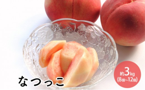 前島農家　なつっこ約3kg（8個～12個） |  桃 フルーツ 果物 旬  人気 おすすめ ギフト プレゼント 送料無料 長野県 長野市 信州 信濃 ふるさと納税