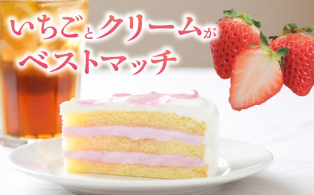 ドルチェケーキ とちあいかショート ケーキ 計12個（4個×3箱）【ファミール製菓株式会社】 [AKCI022]