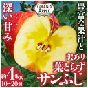 【ふるさと納税】〈令和6年産先行予約〉産地直送　葉とらずサンふじ　訳あり　約4kg【配送不可地域：離島・沖縄県】【1428763】