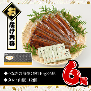 鹿児島県産 うなぎ蒲焼 中 6尾セット 鰻蒲焼 計約660g(約110g×6尾) タレ・山椒付き 鰻 ウナギ 国産【おおさき町鰻加工組合】B145