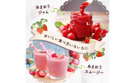 いちご あまおう 福岡県産 いちご【1000g 4パック】【先行予約】