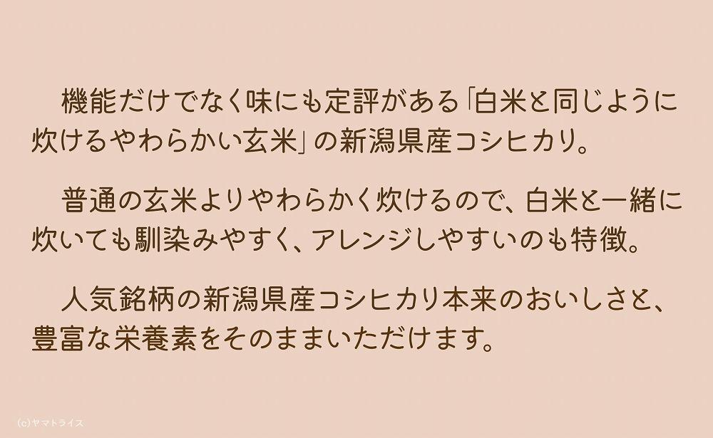 【定期便全12回】【栄養機能食品】白米と同じように炊けるやわらかい玄米 新潟県産コシヒカリ 900g×4袋