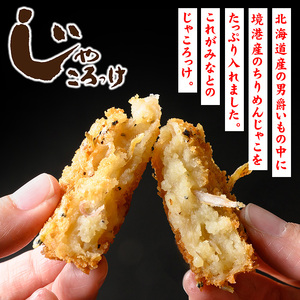 じゃころっけ(計48個)鳥取県 コロッケ ちりめん おかず 惣菜 小分け 揚げるだけ 簡単調理 便利 冷凍【sm-CD006】【羽根】