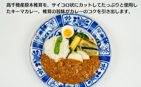 Ｃ-13　高千穂の食材カレーセット