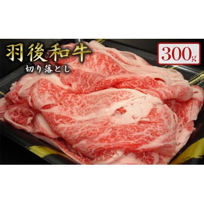 羽後和牛 贅沢切り落とし300g  [No.5325-0035]