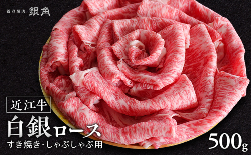 【近江牛】白銀ロース　すき焼き・しゃぶしゃぶ用　500g　牛肉 お肉 国産 和牛 近江牛 滋賀県 米原市 ※12月以降お届け