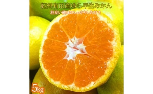 G7097_【2025年先行予約】紀州和歌山有田産 ゆら早生みかん 5kg