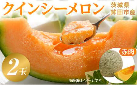 メロン めろん ＼光センサーで計測 糖度16度以上！／クインシー 【輝】2玉  茨城 鉾田 サングリーン旭 フルーツ 旬 プレゼント 人気 おすすめ 贈り物 甘い ヘルシースイーツ 産地直送 農業王国 赤肉 クインシーメロン 輝 特秀 赤 5月以降発送