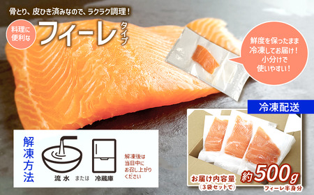 【国産サーモン】西条産陸上養殖サーモン「サイモン」冷凍フィーレ半身分（約500g）【2026年1月～4月発送】