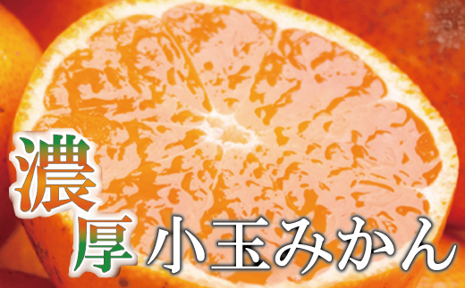 家庭用小さな有田みかん小さな(S以下)7.5kg+250g 10月より発送【わけあり・訳あり】【光センサー選果】＜11月上旬より順次発送予定＞【ikd118C】