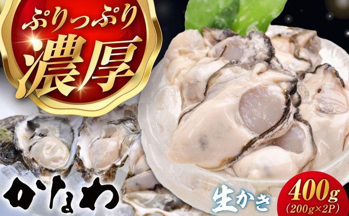 
                  【生牡蠣】 かなわの生牡蠣 むき身200g×2パック 計400g 江田島市／株式会社かなわ [XBP001]｜生牡蠣 牡蠣 生食 むき身 かき カキ 生牡蠣 広島牡蠣 オイスター 冬かき 魚介類 魚介 貝類 海鮮 広島県産 国産 産地直送 贈答 ギフト 特産品
                