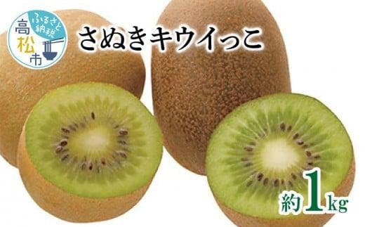 さぬきキウイっこ　約1kg【2024-10月下旬～2024-12月下旬配送】