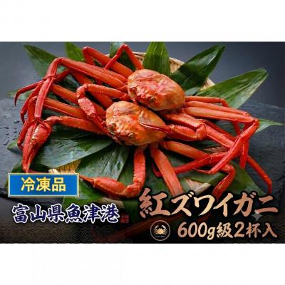ふるさと納税 魚津市 【冷凍品】 自社漁船直送!魚卸問屋のベニズワイガニ　600g級×2杯