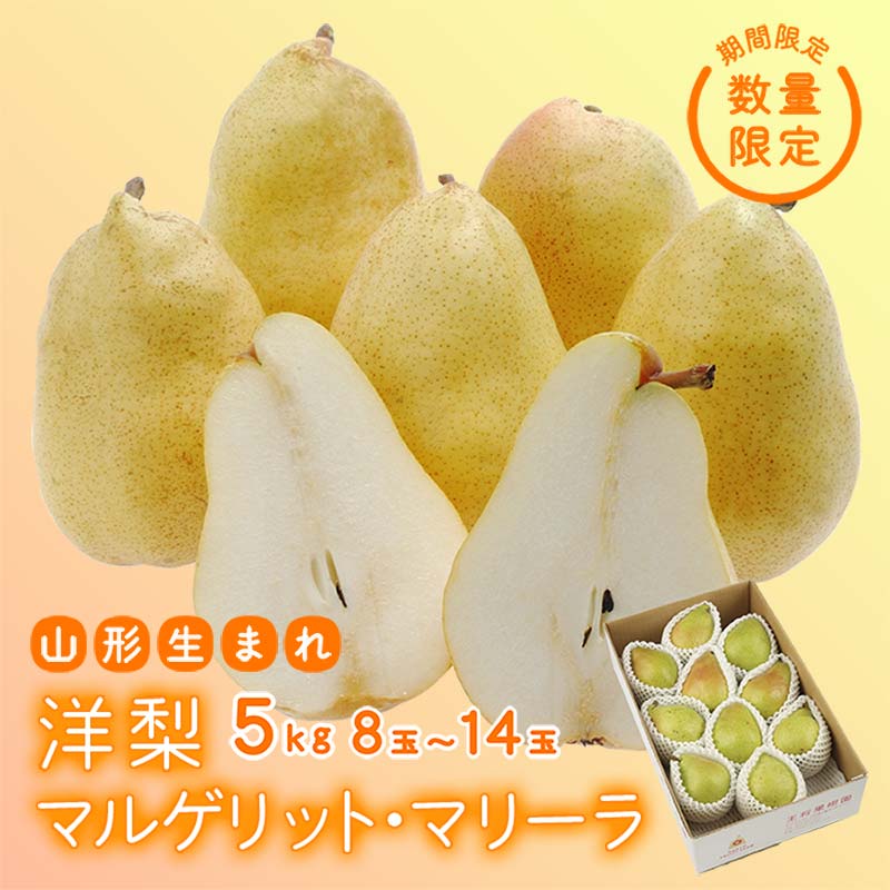 【ふるさと納税】 《先行予約 2026年度発送》【王将果樹園】洋梨マルゲリット・マリーラ 5kg なし ナシ 梨 デザート フルーツ 果物 くだもの 果実 食品 山形県 FSY-2568