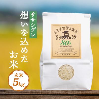 ふるさと納税 石巻市 ササシグレ 玄米 5kg 米 お米 節減対象農薬不使用 化学肥料不使用 コメ