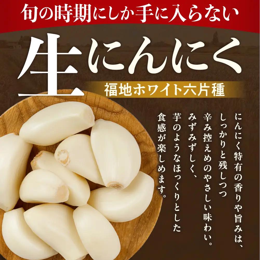 【令和9年度産先行受付】生にんにく（福地ホワイト六片種）1kg にんにく