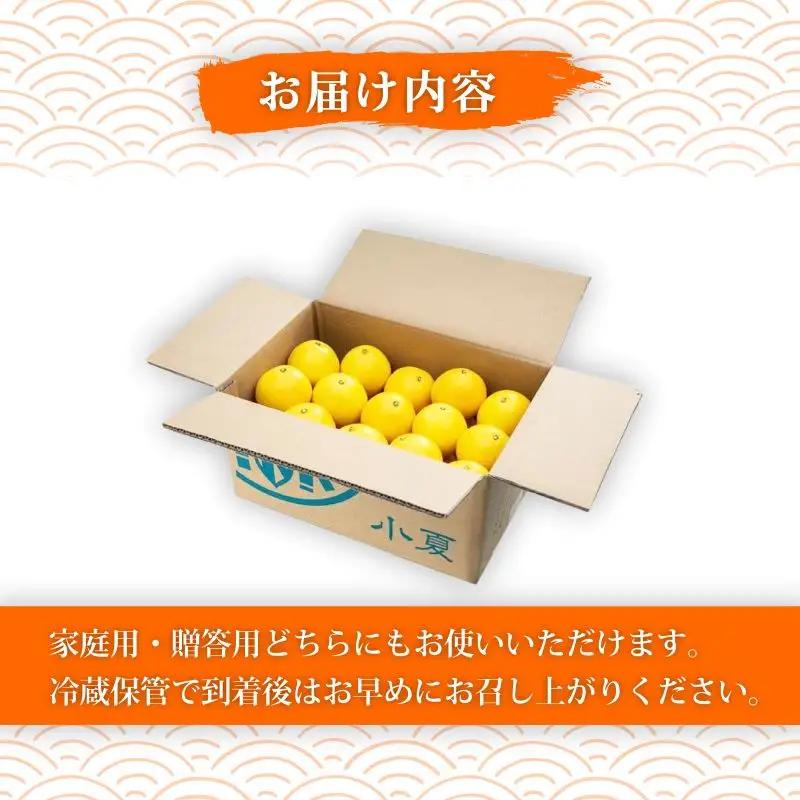 【2027年5月より発送】 熟成 露地小夏 5kg | 柑橘 フルーツ 果物 期間限定 旬の果物 ご家庭用 生産者 農家 直送 高知県 室戸市