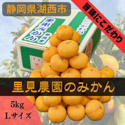 【ふるさと納税】【旨味にこだわり】里見農園のみかん Lサイズ 5kg【1693880】