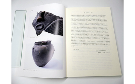 泉坂下遺跡6 1冊 弥生時代 報告書 考古学 【歴史】【ho1314】