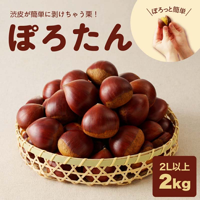 【ふるさと納税】【期間限定】低温貯蔵 東美濃ぽろたん（生栗）東美濃農業協同組合【発送日10月末～12月上旬】 F4N-1960