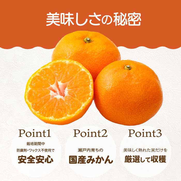 【おくはち農園】〈訳あり〉はるみ 4.5kg  《2027年2～3月発送予定》栽培期間中 防腐剤 ワックス 不使用 旬 柑橘 かんきつ フルーツ 果物 瀬戸内 166008 