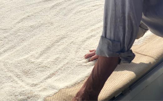 米 【令和7年産新米】石田さんのお米 馳せ米 10kg 米 コメ こめ 精米 セイマイ せいまい 石田さんのお米 おコメ 馳せ米