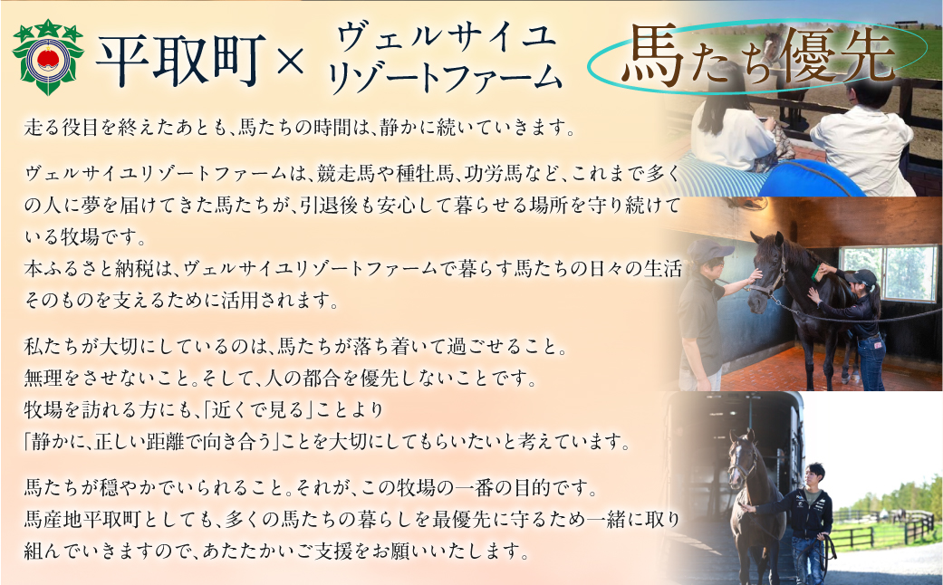 【10万円コース 返礼品無し】より多くの引退馬の幸せな余生を願う　Yogiboヴェルサイユリゾートファーム BRTV024-05