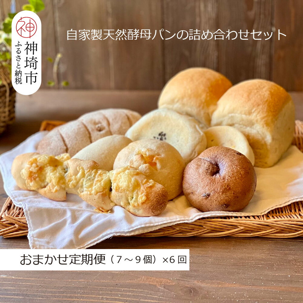 【ふるさと納税】【定期便6回】自家製天然酵母パンの詰め合わせセット【パンと器のコネル】【パンと器のコネル 全粒粉 もっちりベーグル 国産小麦 パン 自家製 天然酵母 玄米麹 朝食 おやつ】(H094120)