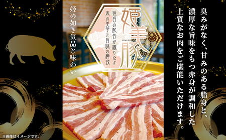 ＜愛媛県産 姫美豚 モモ肉 小間切れ＆ミンチ肉セット 合計1.2kg（各600g）＞ ひめびとん 赤身 豚肉 ブランド豚 豚こま ひき肉 挽肉 国産 家庭用 普段使い ストック用 小分け 真空冷凍 簡