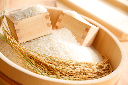 【新米】【7年産】 すっごいもちもち しきゆたか 白米 10kg ( 5kg × 2袋 ) 【C004U1】 しきゆたか