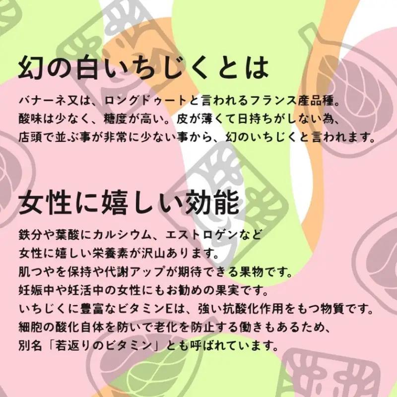 アイス 【数量限定】葛アイスバー 幻の白いイチジク 5本 [BRCE008]