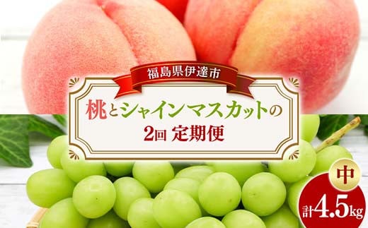 桃とシャインマスカットの定期便（中） 福島の桃 果物 先行予約 フルーツ 桃 モモ もも 葡萄 ブドウ ぶどう 福島県 伊達市 もも モモ momo  くだもの 果実 セット 詰め合わせ 詰合せ 食品 F20C-786