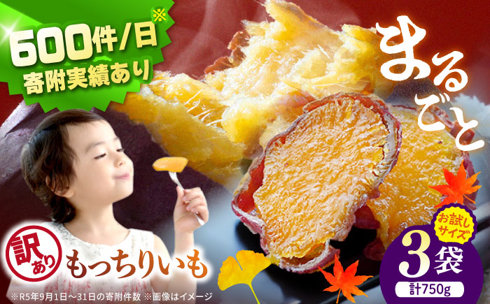 【1週間以内お届け】 【お試し☆ 訳あり 】 皮付きまるごともっちりいも 計750g（約250g×3袋）＜大地のいのち＞ [CDA064] 干し芋 干し芋 スイーツ お菓子 おやつ ほしいも 規格外 不揃い