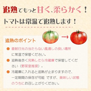 訳あり！ご家庭用に大活躍 夢追うトマト5kg～6kg【B0-244】