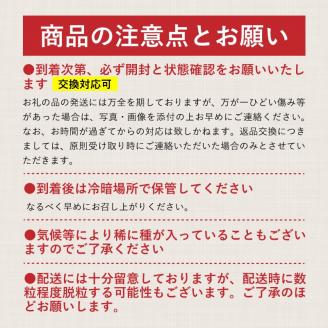 【2025年 先行予約】山梨県産　シャインマスカット 1.1kg (２房～3房)　山梨 フルーツ 人気 甘い 糖度 ぶどう シャイン マスカット 名産 糖度 大粒 種無し 種なし やまなし 葡萄 ブド
