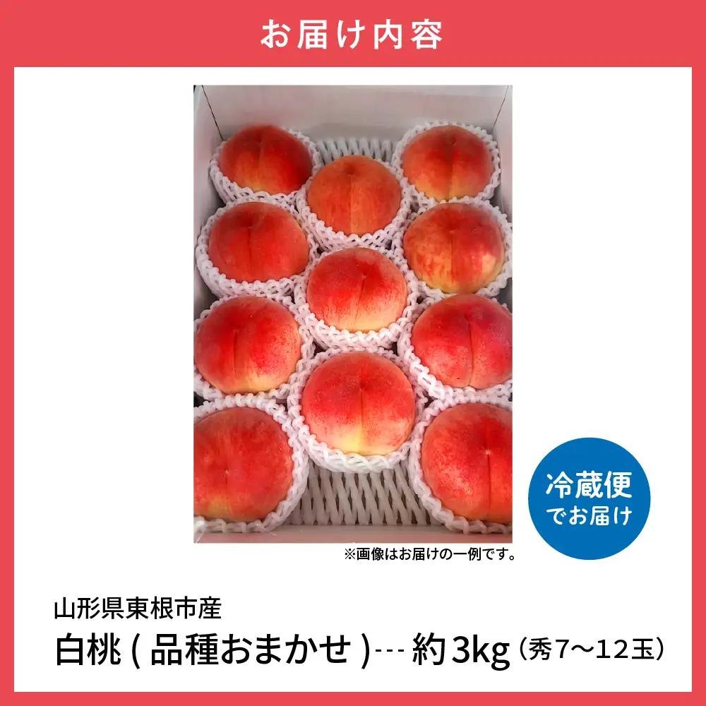 【2026年産】 白桃 ( 品種おまかせ ) 3kg 白桃 桃 もも