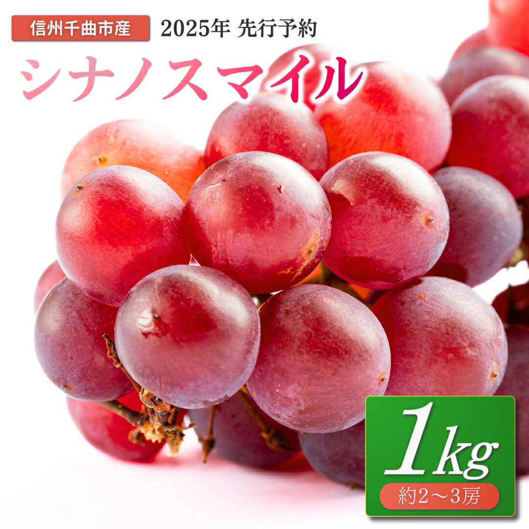 【ふるさと納税】【2025年先行予約】ぶどう シナノスマイル 約1kg 2~3房|葡萄 グレープ 果物 フルーツ シナノスマイル 1kg 信州ぶどう 信州葡萄 産地直送 種無し 皮ごと食べれる 巨峰とリザマートから誕生 赤ぶどう 信州 長野 千曲市 送料無料
