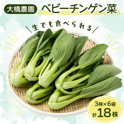 【ふるさと納税】大橋農園のベビーチンゲン菜:3株入り×6袋【配送不可地域：離島】【1364665】