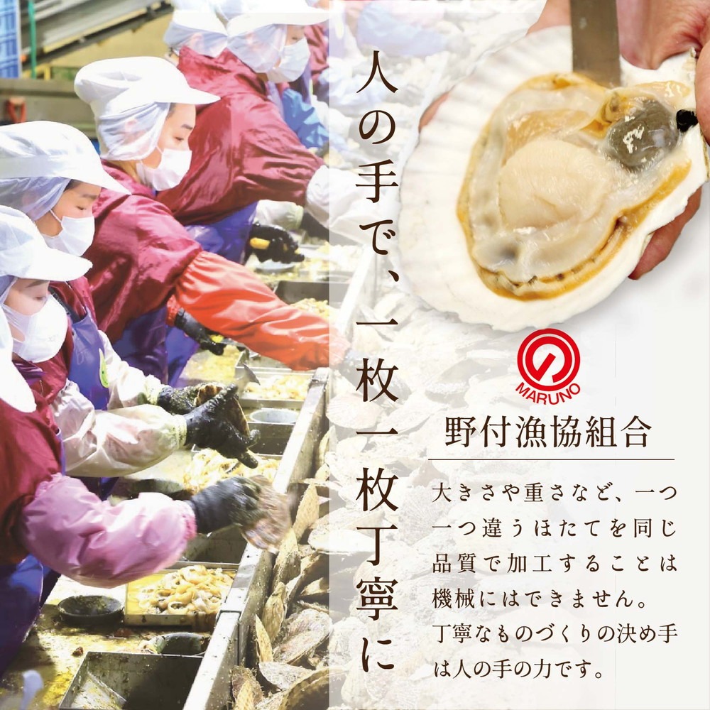 【隔月2回定期便】★NA北海道 野付産 冷凍ホタテ 貝柱 旨粒（3Sサイズ）ホタテ500ｇ_イメージ4