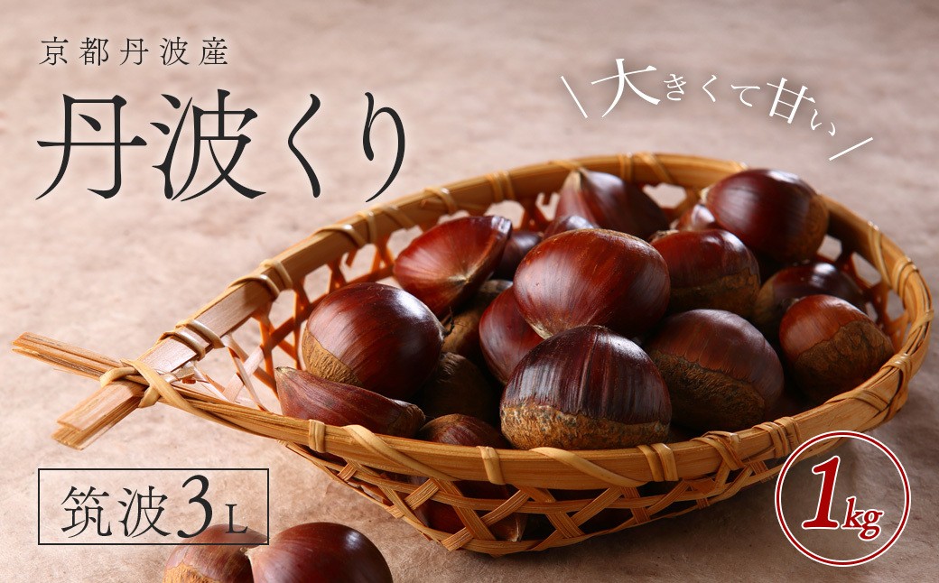 
            【2025年10月初旬より順次発送！】京都丹波産　丹波くり　筑波3L　1kg 【ふるさと納税 栗 くり 丹波栗 丹波くり 筑波 3L 甘味 おやつ 栗ご飯 お菓子作り 3L L Lサイズ 大粒 期間限定 京都府 福知山市】FCFB001
          