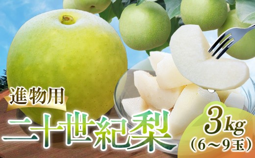 二十世紀梨【進物】3kg（三ツ田農園） 鳥取 梨 果物 フルーツ 和梨 二十世紀梨 20世紀梨 人気 甘い 進物 贈答用 赤秀