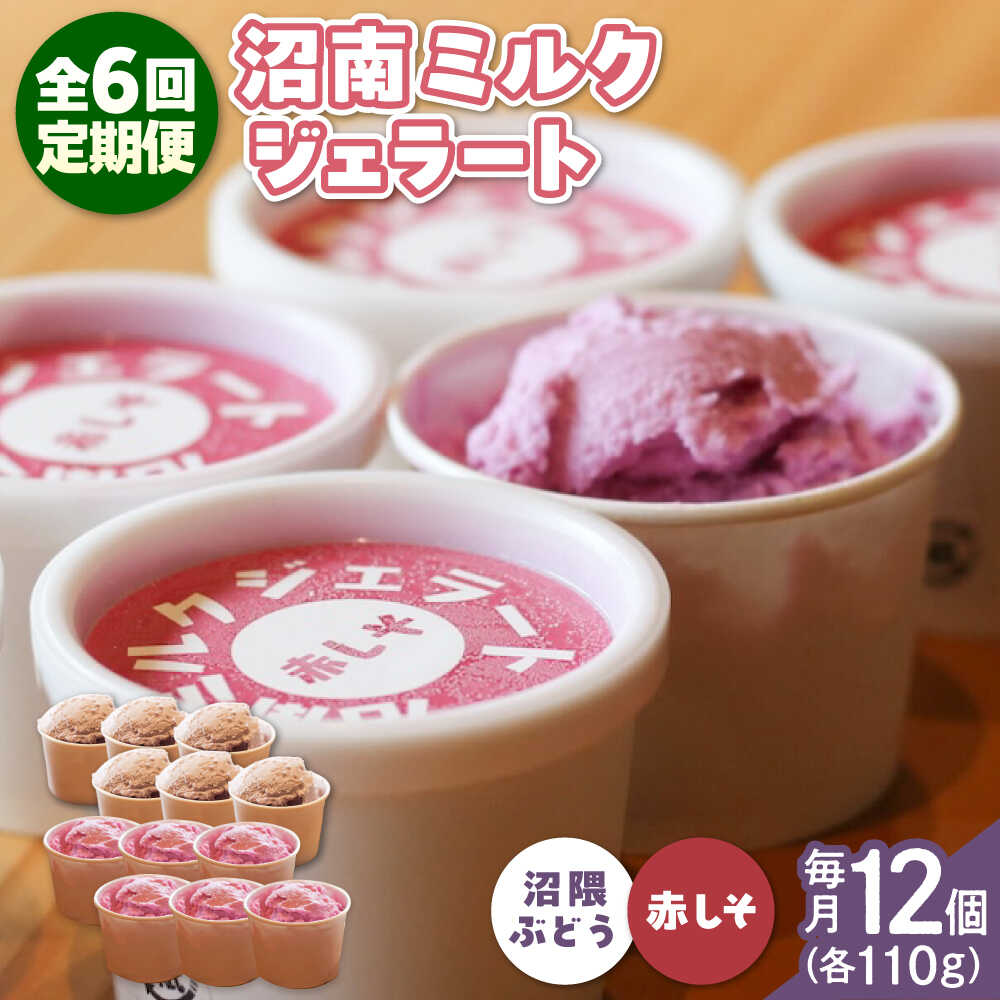 【ふるさと納税】【全6回定期便】沼南ミルクジェラート 沼隈ぶdue＆赤しそ 各6個 食べ比べセット アイス ぶどう 赤しそ アイスクリーム デザート スイーツ ご当地 おすすめ 人気 お取り寄せ 詰め合わせ ギフト 定期便 130000円 13万円 広島県福山市/甚ごろう[BAEC051]