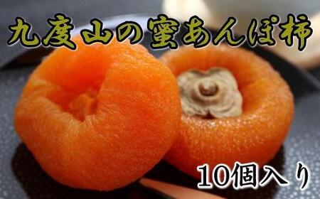 【無添加】九度山あんぽ柿「蜜あんぽ」大きめサイズ10袋入り★2024年12月中旬頃より順次発送【TM117】